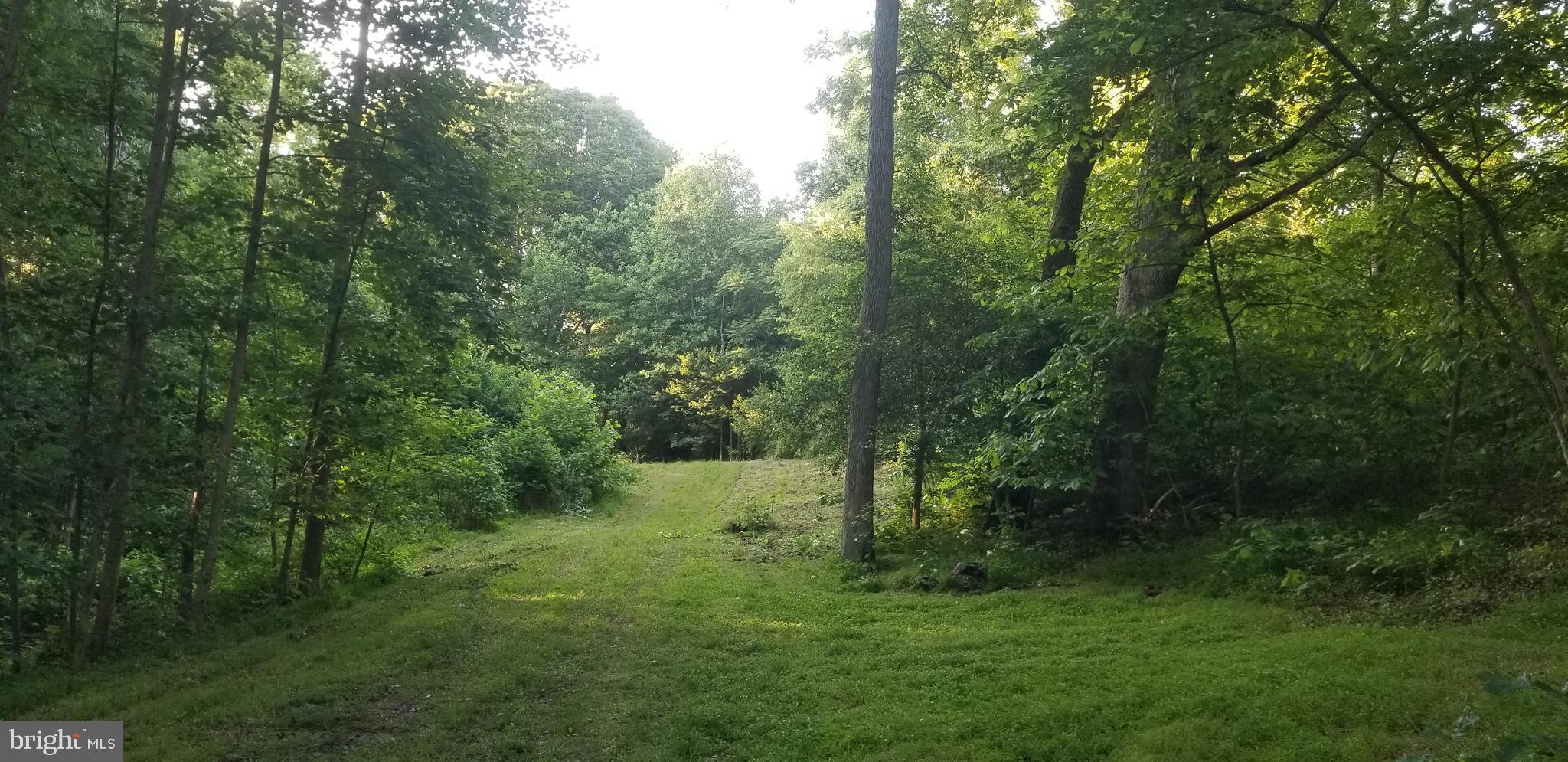 10226 Springhill Newtown Road La Plata, MD 20646 - Photo 36 of 39 a view of outdoor space and yard
