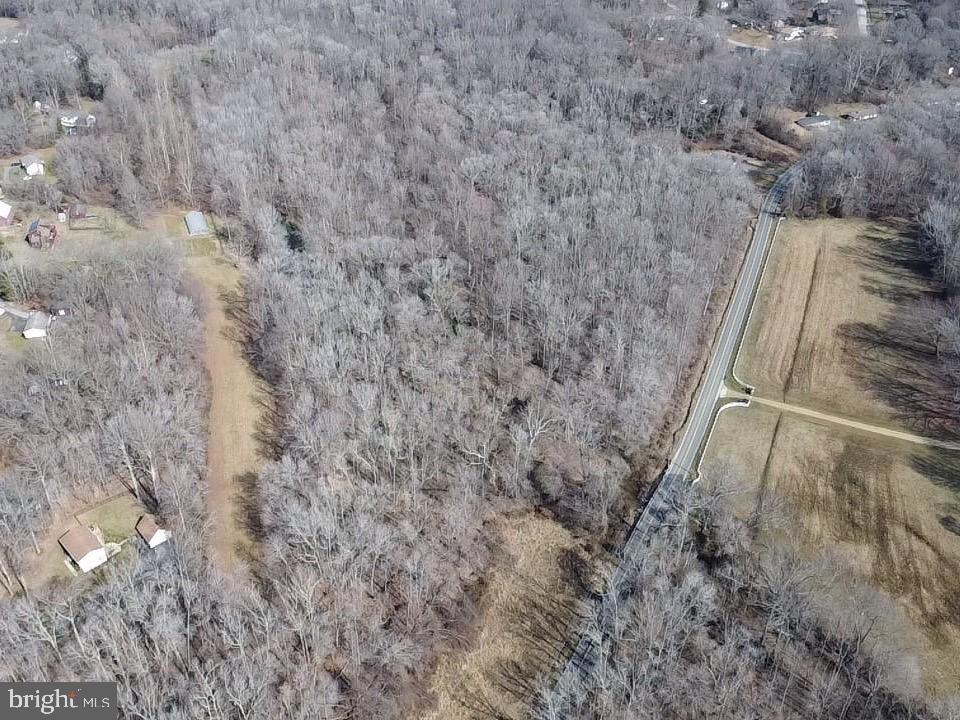 10226 Springhill Newtown Road La Plata, MD 20646 - Photo 4 of 39 a view of a dry yard