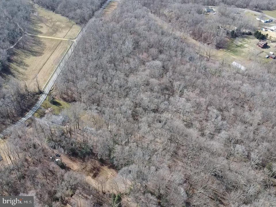 10226 Springhill Newtown Road La Plata, MD 20646 - Photo 6 of 39 a view of a dry yard