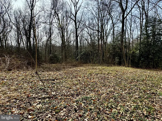 a view of outdoor space with trees