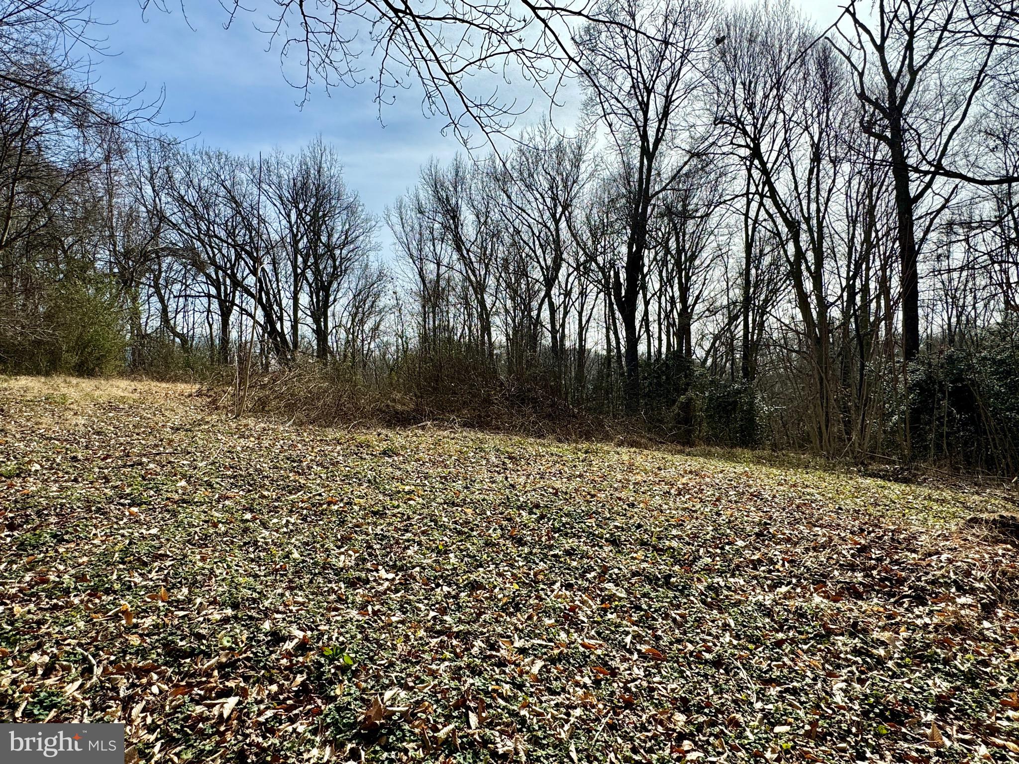 10226 Springhill Newtown Road La Plata, MD 20646 - Photo 9 of 39 a view of a yard with trees