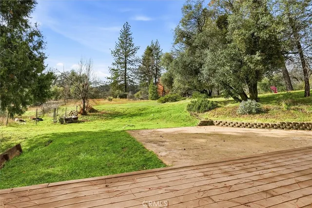 a view of a park with large trees