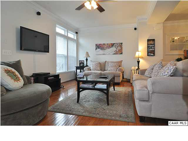 823 Rainier Road Charlottesville, VA 22903 - Photo 11 of 39 a living room with furniture a flat screen tv and a couch