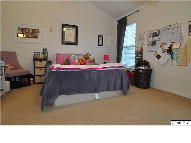 823 Rainier Road Charlottesville, VA 22903 - Photo 18 of 39 a living room with furniture and a couch