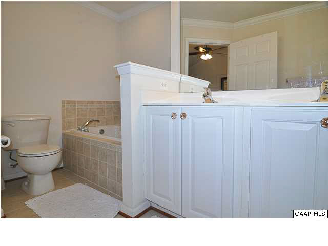 823 Rainier Road Charlottesville, VA 22903 - Photo 20 of 39 a bathroom with a sink a toilet and a mirror