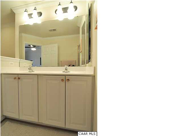 823 Rainier Road Charlottesville, VA 22903 - Photo 21 of 39 a bathroom with a sink and a mirror