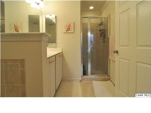 823 Rainier Road Charlottesville, VA 22903 - Photo 23 of 39 a bathroom with a shower and a sink