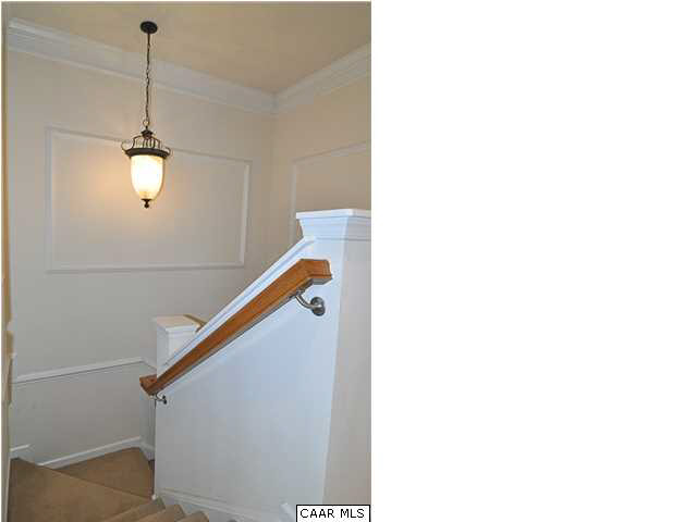 823 Rainier Road Charlottesville, VA 22903 - Photo 25 of 39