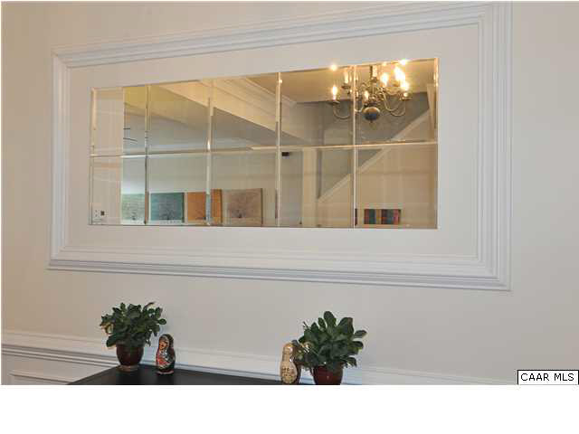 823 Rainier Road Charlottesville, VA 22903 - Photo 31 of 39 a view of a mirror