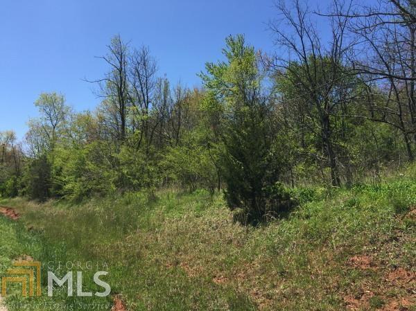 107 Tom Teague Road, Unit 9 &10 HJ Cleveland, GA 30528 - Photo 1 of 1