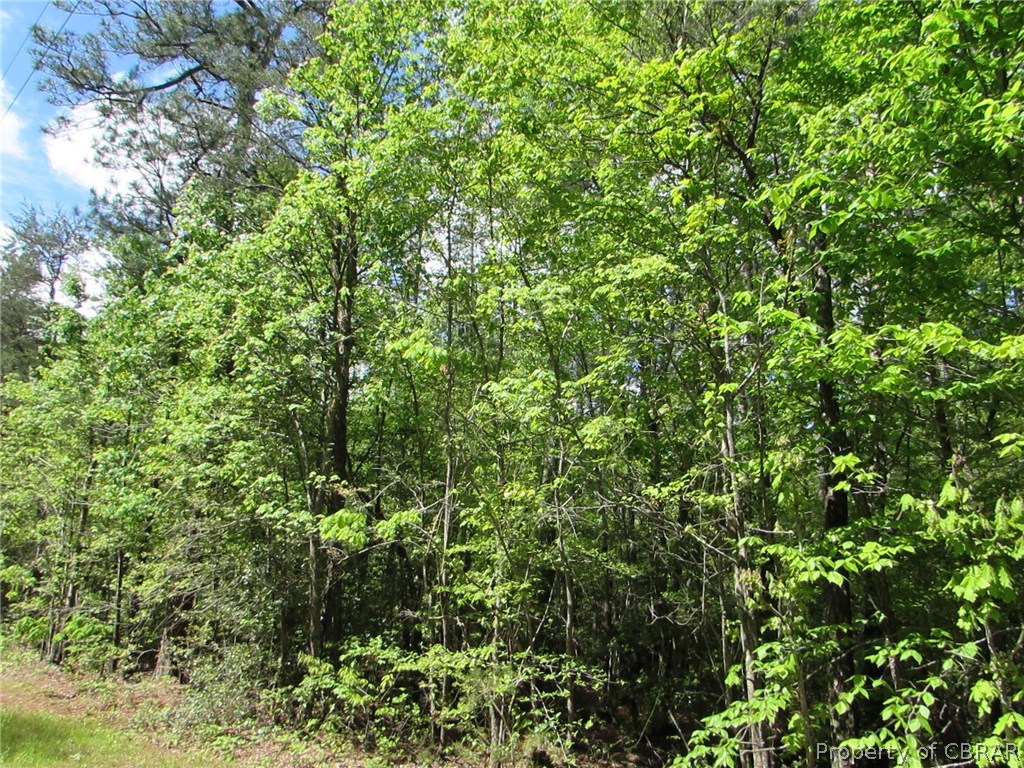5.67-acres Indian Road Gloucester, VA 23061 - Photo 3 of 6
