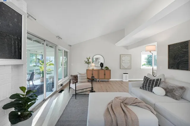 a living room with furniture a dining table and a potted plant