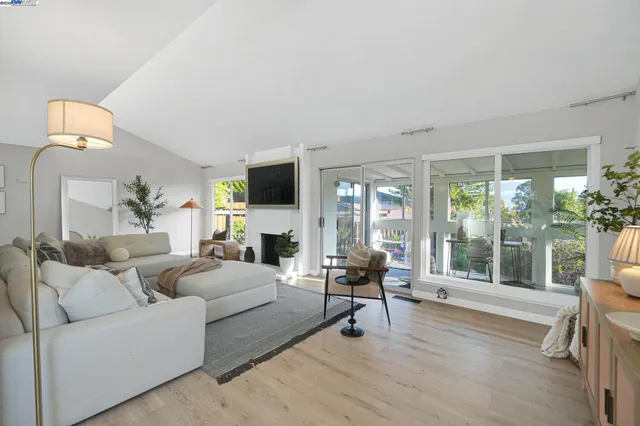 a living room with furniture and a potted plant