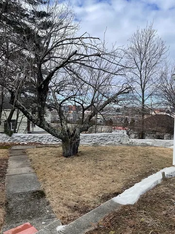 a view of a house with a backyard