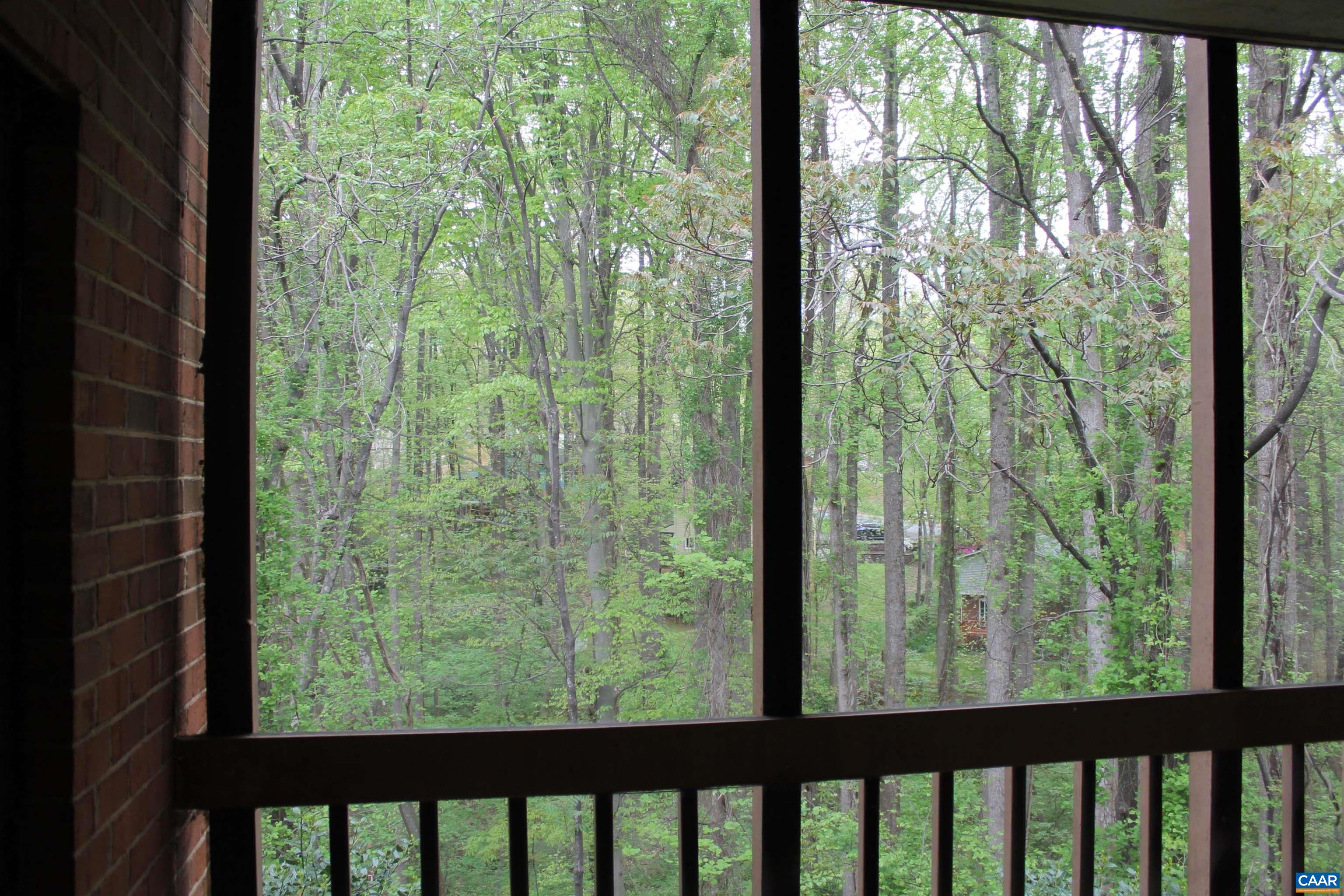 117 Turtle Creek Road, Unit 7 Charlottesville, VA 22901 - Photo 14 of 23 Gallery Image 14