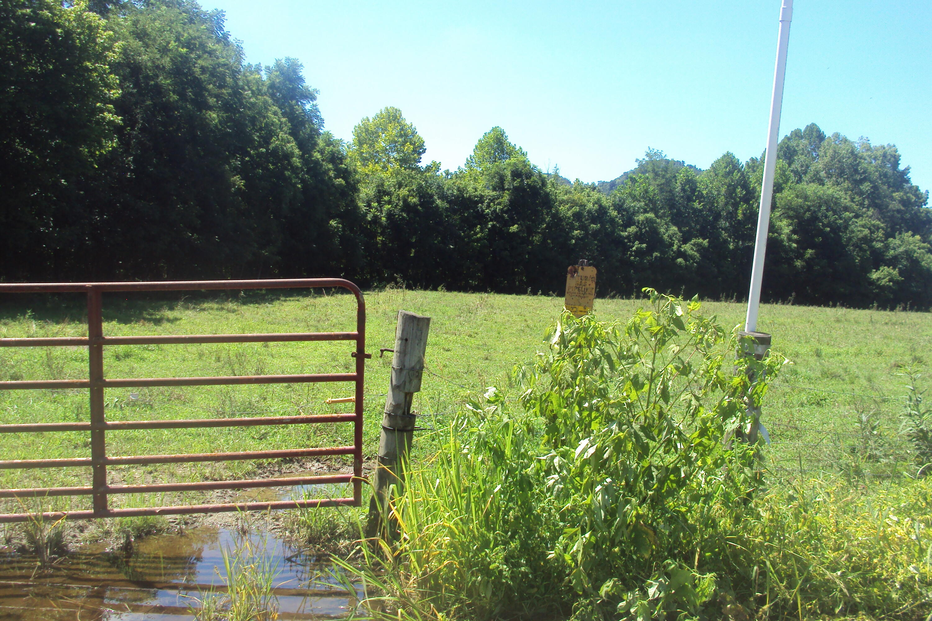 1 Red Lick Road Irvine, KY 40336 - Photo 31 of 48 DSC03968