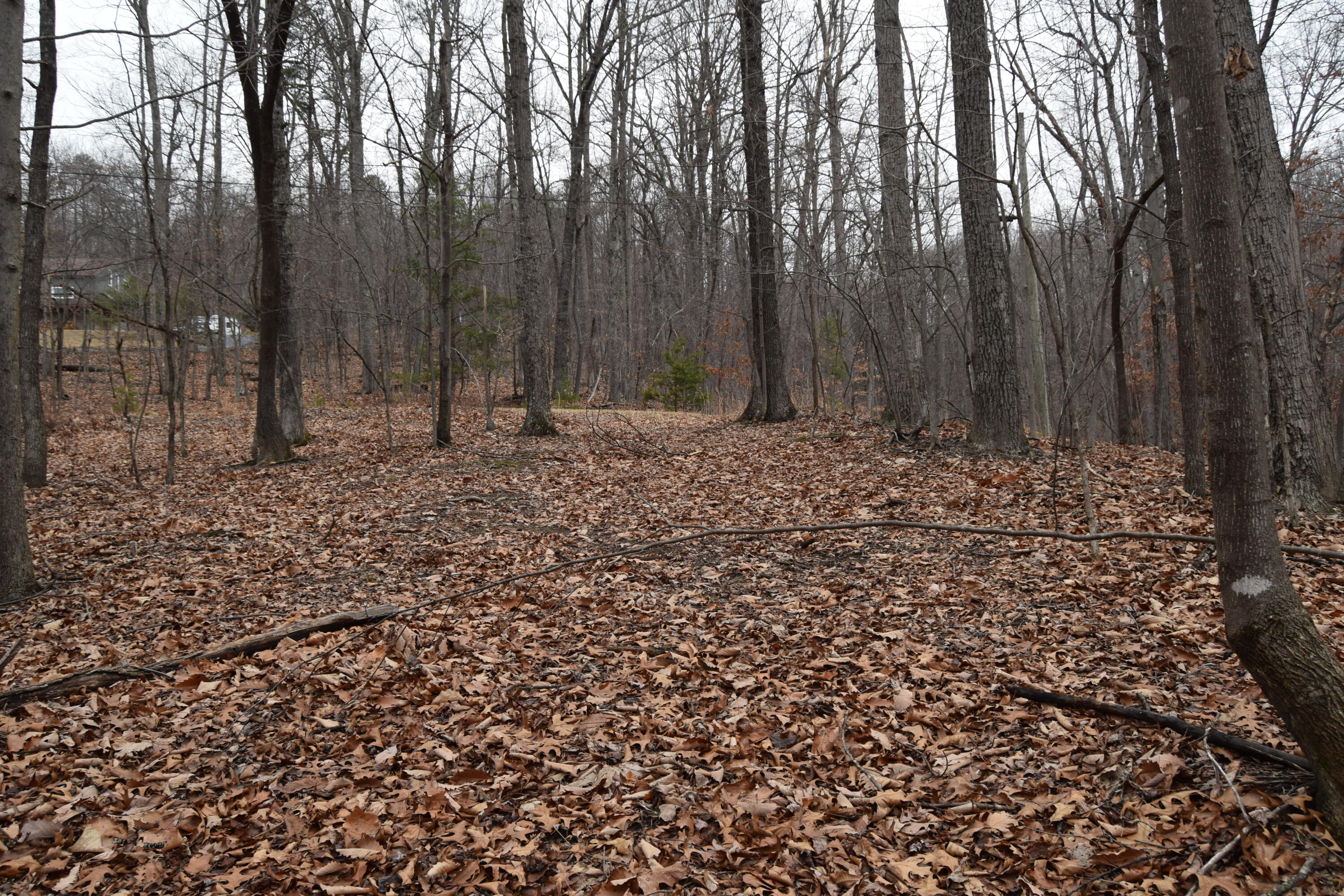 0 Hickory Falls Road Blue Ridge, VA 24064 - Photo 11 of 29 DSC_0654