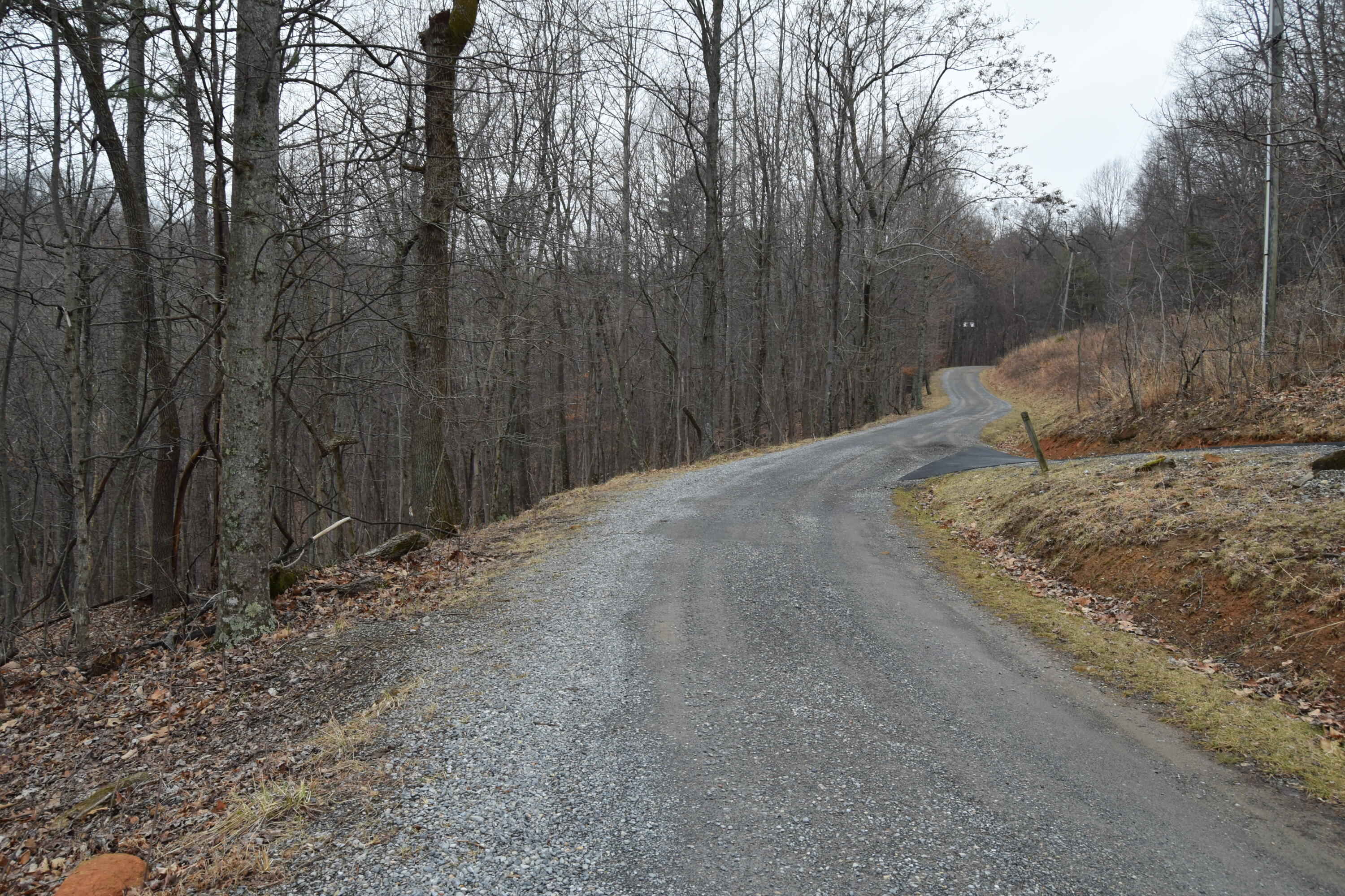 0 Hickory Falls Road Blue Ridge, VA 24064 - Photo 12 of 29 a view of a backyard of the house