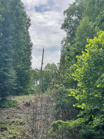 a backyard of a house with lots of green space and outdoor seating