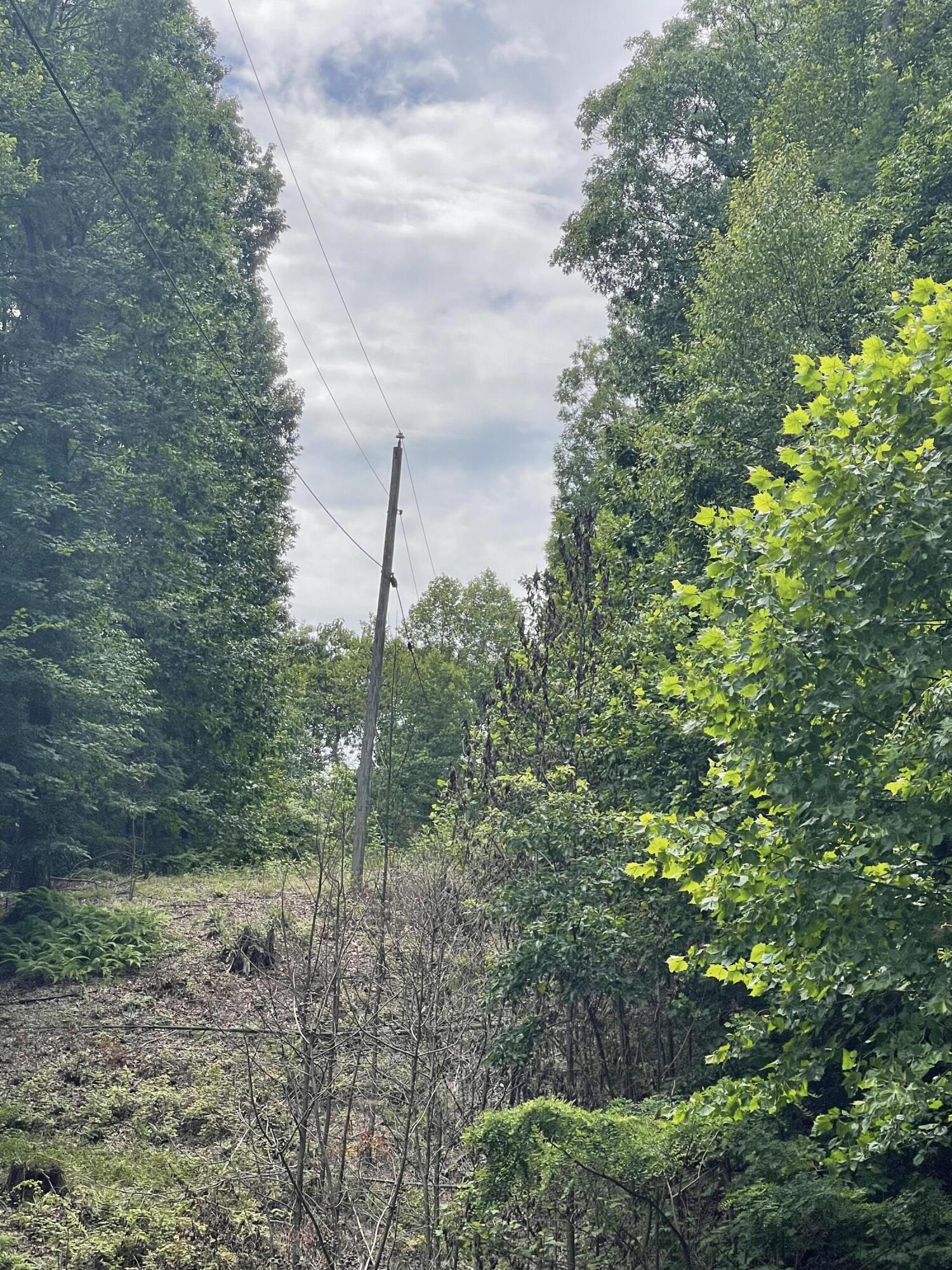 0 Hickory Falls Road Blue Ridge, VA 24064 - Photo 13 of 29 Photo Jul 10 2025, 2 53 49 PM