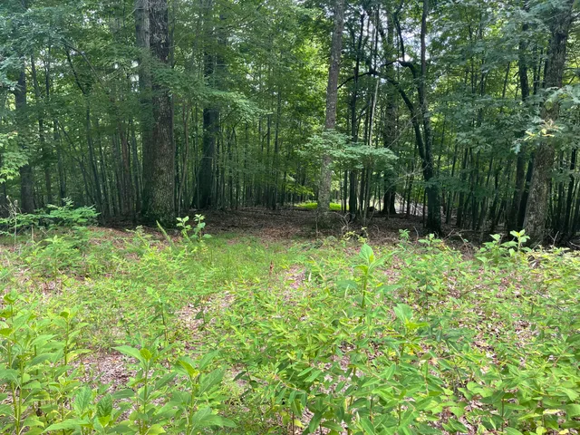 $67,900 | 0 Hickory Falls Road, Blue Ridge, VA 24064