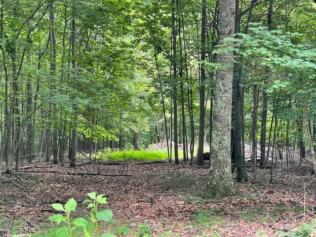 $67,900 | 0 Hickory Falls Road, Blue Ridge, VA 24064