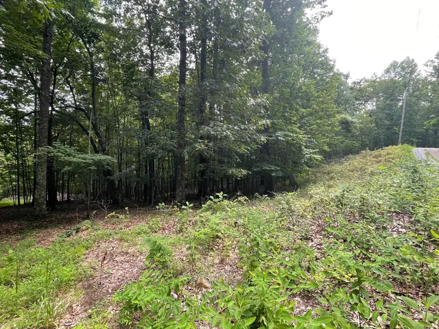 $67,900 | 0 Hickory Falls Road, Blue Ridge, VA 24064