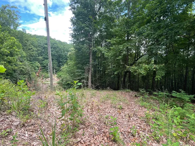 $67,900 | 0 Hickory Falls Road, Blue Ridge, VA 24064