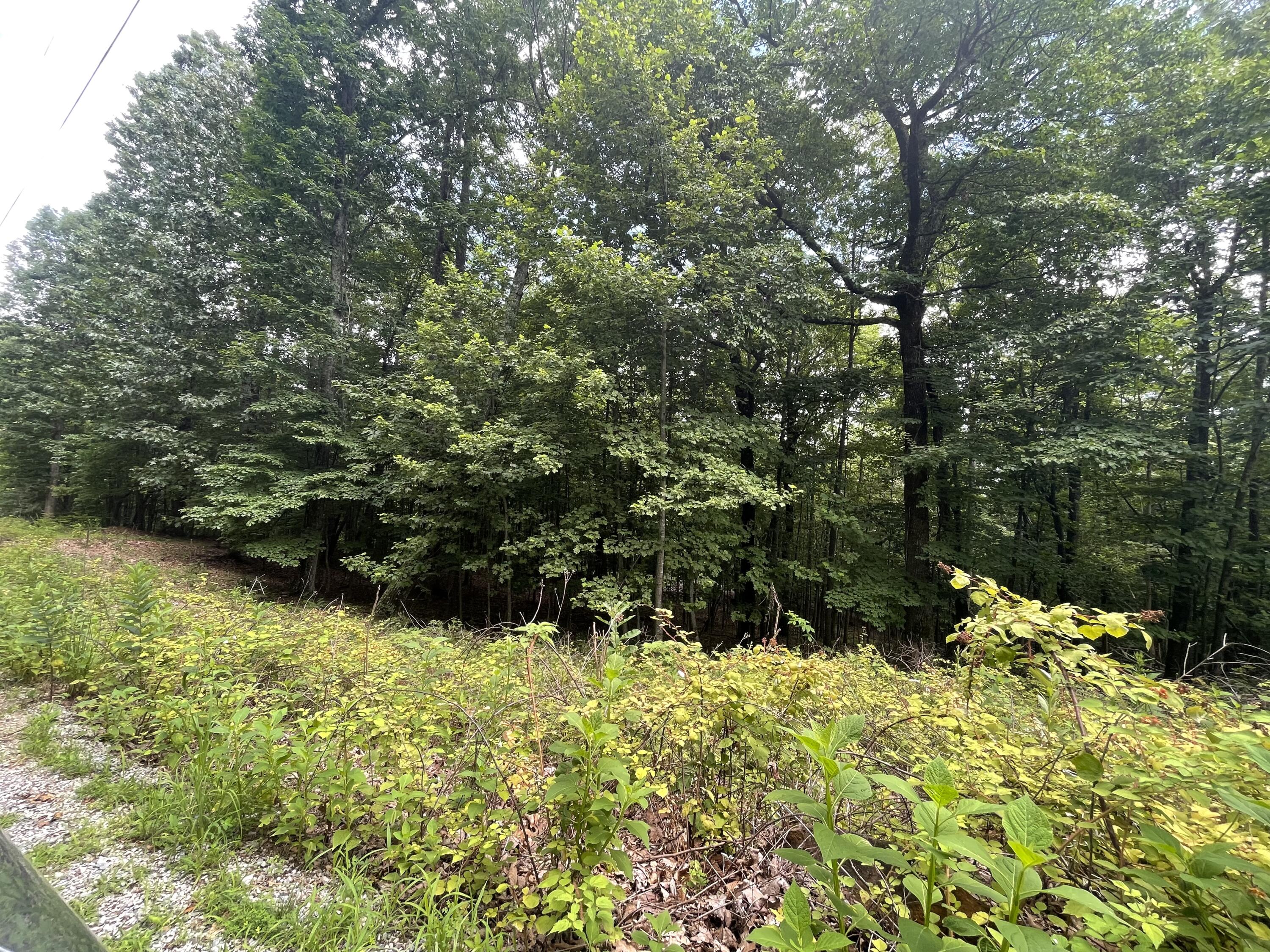 0 Hickory Falls Road Blue Ridge, VA 24064 - Photo 24 of 29 Photo Jul 10 2025, 2 58 22 PM