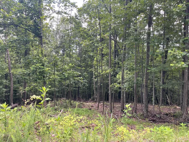 $67,900 | 0 Hickory Falls Road, Blue Ridge, VA 24064