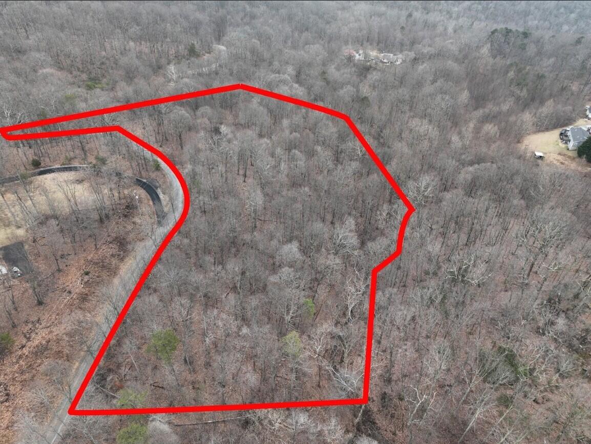 0 Hickory Falls Road Blue Ridge, VA 24064 - Photo 27 of 29 red outline