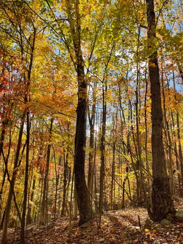 $67,900 | 0 Hickory Falls Road, Blue Ridge, VA 24064