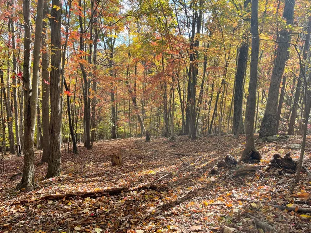 a view of a backyard of the house