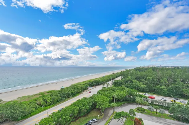 a view of a yard with an outside space