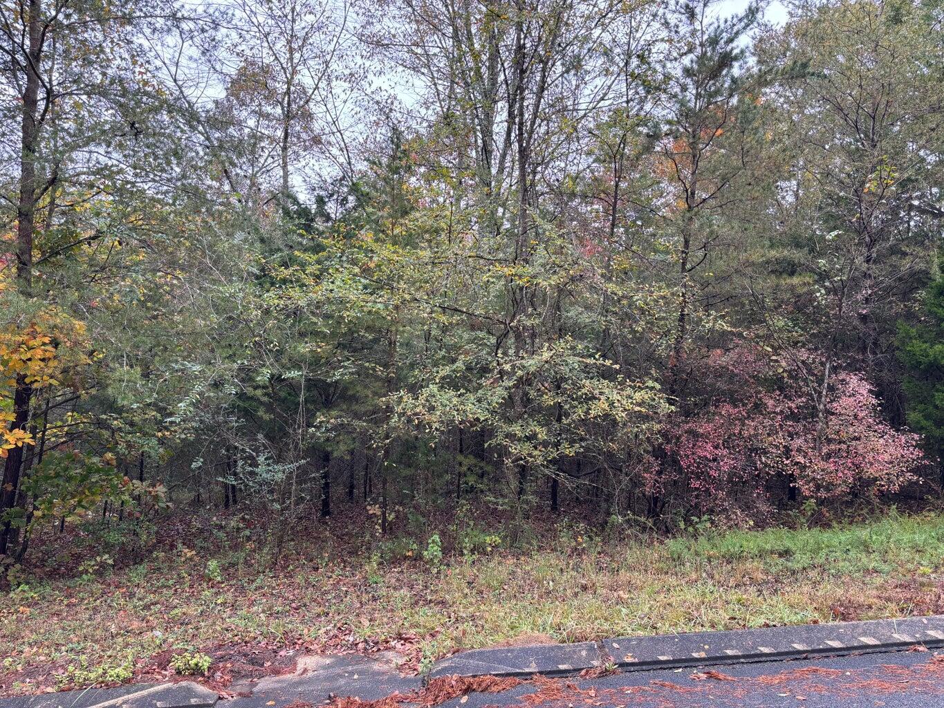 3 Countryside Drive Dunlap, TN 37327 - Photo 2 of 12 Countryside3(2)