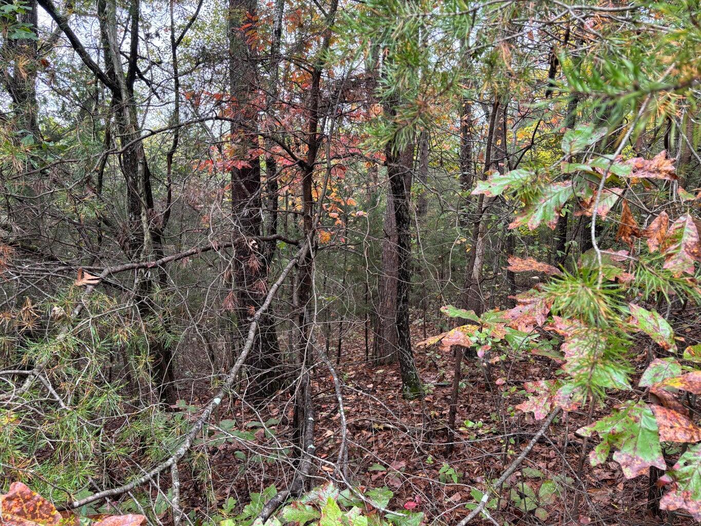 3 Countryside Drive Dunlap, TN 37327 - Photo 4 of 12 Countryside3(4)