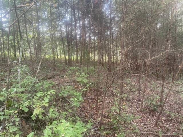 3 Countryside Drive Dunlap, TN 37327 - Photo 5 of 12 Countryside3(5)