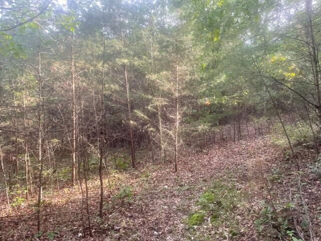 3 Countryside Drive Dunlap, TN 37327 - Photo 6 of 12 Countryside3(6)