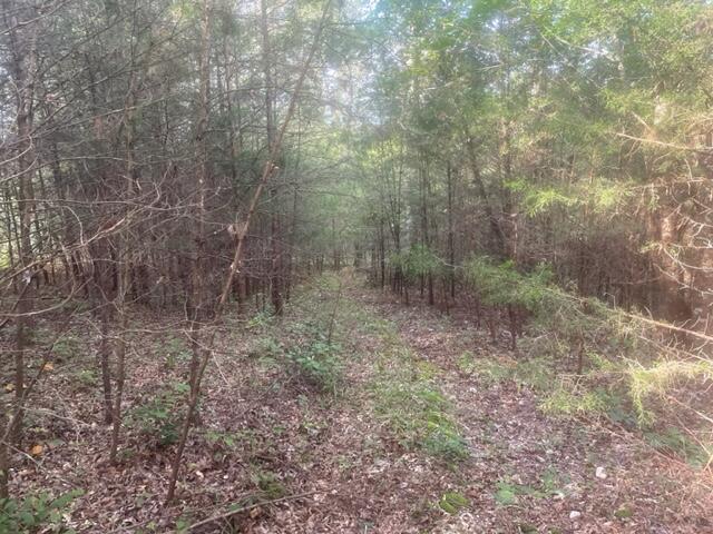 3 Countryside Drive Dunlap, TN 37327 - Photo 7 of 12 Countryside3(7)