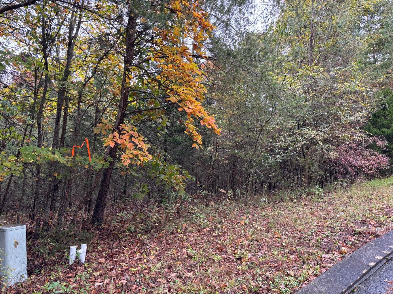 3 Countryside Drive Dunlap, TN 37327 - Photo 8 of 12 Countryside3(8)