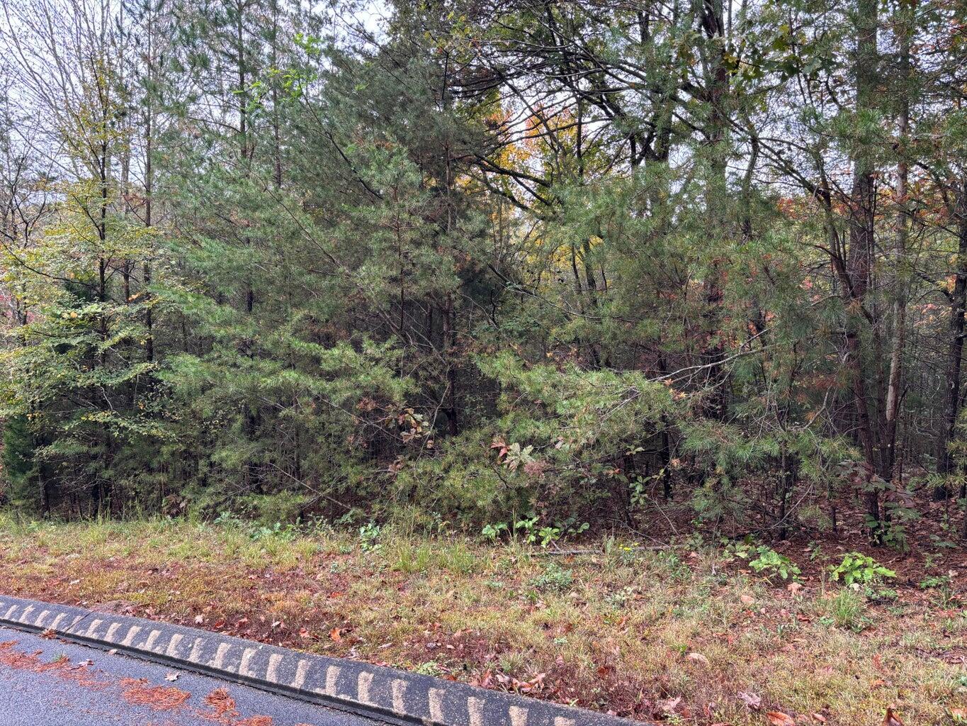 3 Countryside Drive Dunlap, TN 37327 - Photo 9 of 12 Countryside3(9)