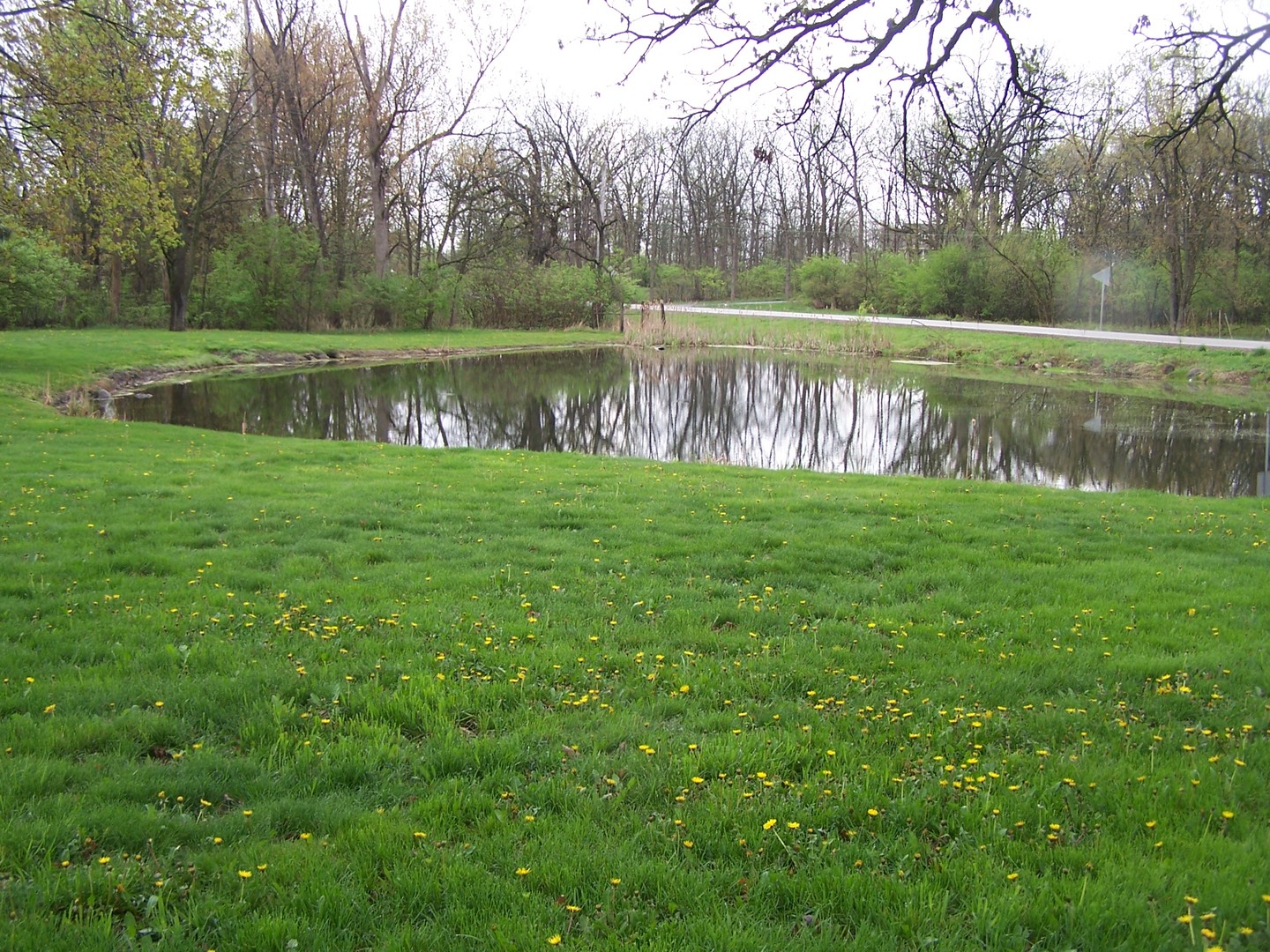 13810 Davis Road Woodstock, IL 60098 - Photo 11 of 13 a view of a yard with a lake view