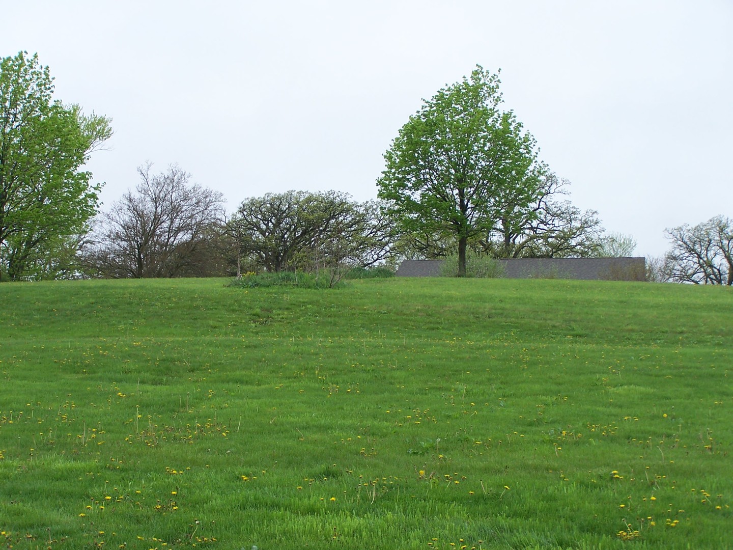 13810 Davis Road Woodstock, IL 60098 - Photo 13 of 13 a view of a grassy field with trees