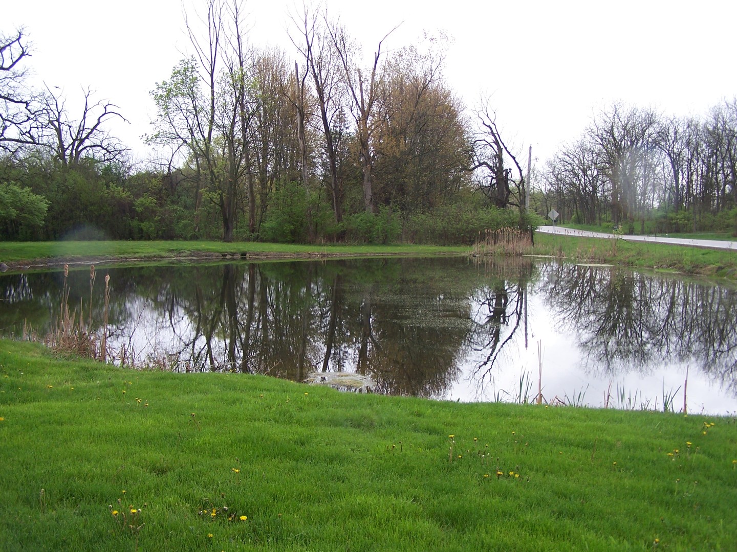 13810 Davis Road Woodstock, IL 60098 - Photo 10 of 13 a body of water with a yard