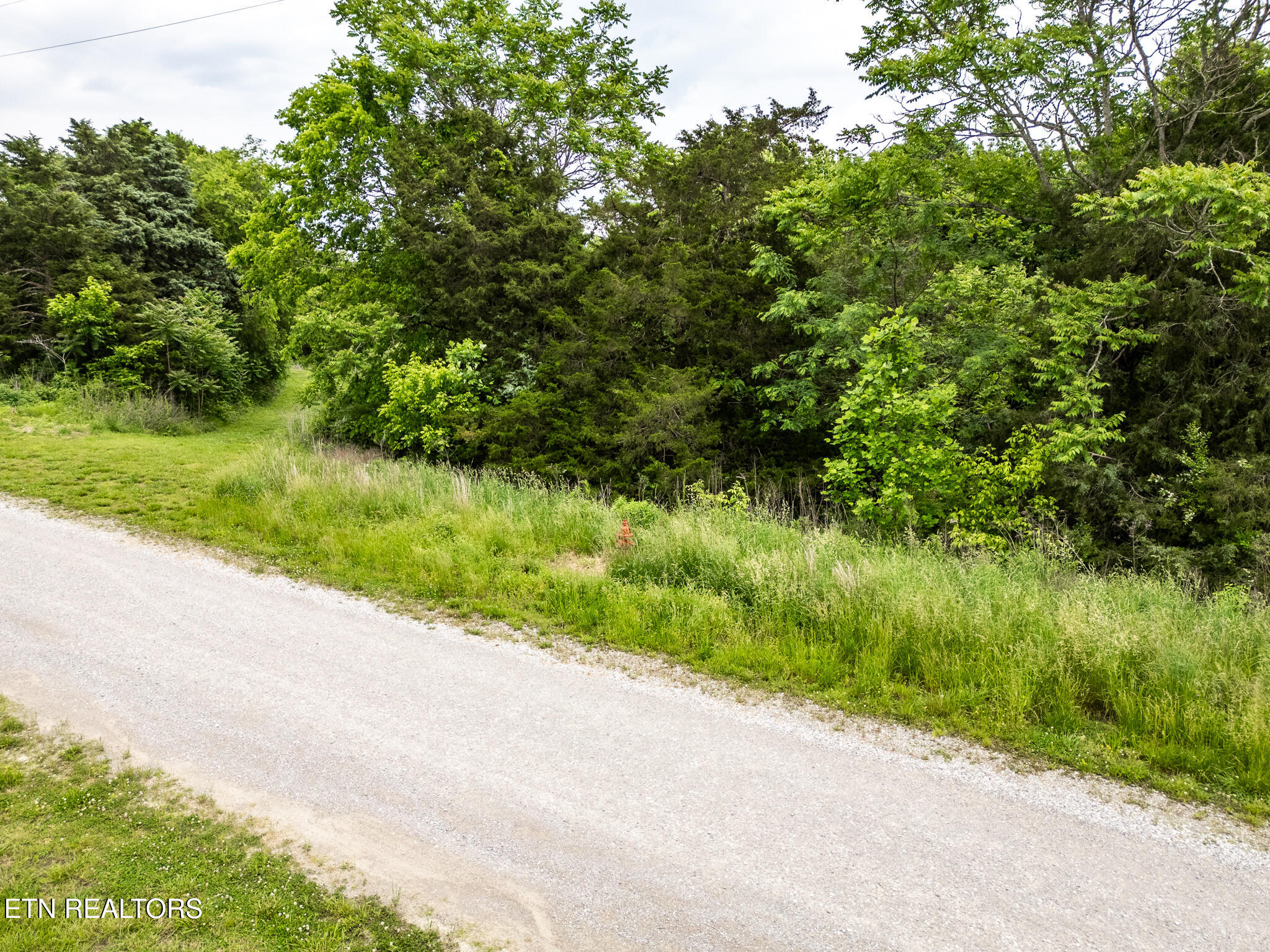 Lot 32 Lake Bluff Road Baxter, TN 38544 - Photo 16 of 17 mls-DJI_0427-HDR