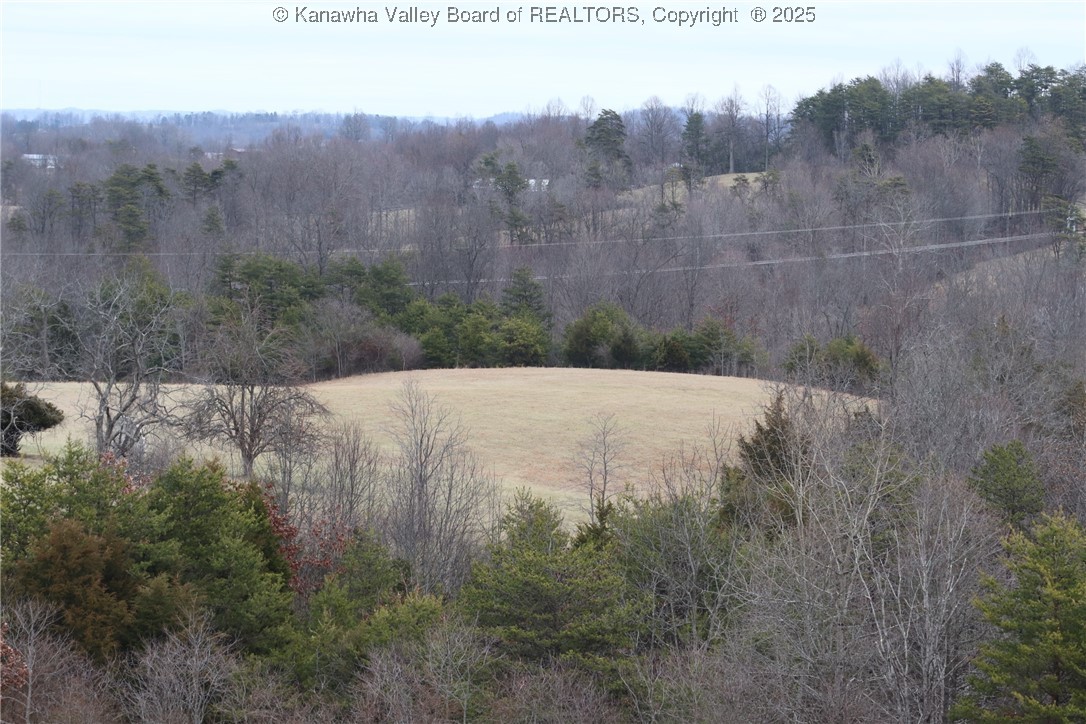 214 Spruce Run Road Ripley, WV 25271 - Photo 35 of 45 Gallery Image 35