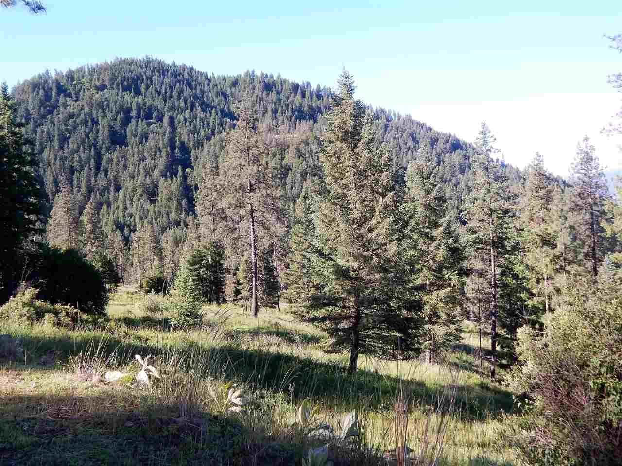 1601 B Silver Queen Road Kettle Falls, WA 99141 - Photo 14 of 18 Gallery Image 14
