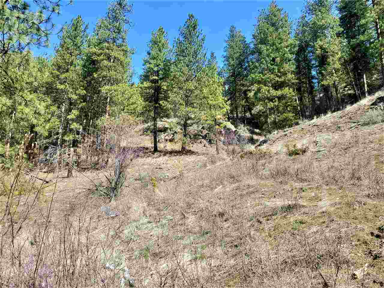 1601 B Silver Queen Road Kettle Falls, WA 99141 - Photo 3 of 18 Gallery Image 3