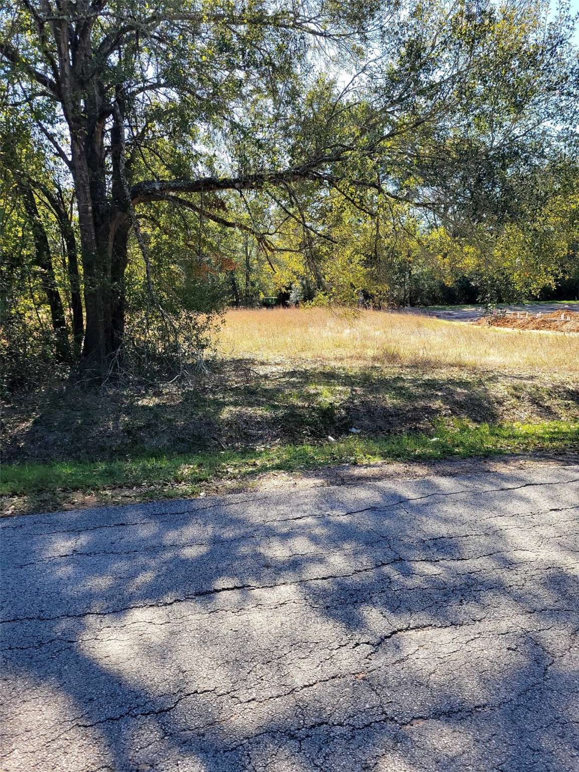 Tbd Bledsoe Street Prairie View, TX 77446 - Photo 6 of 6 a view of a yard with a tree