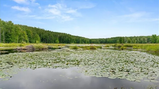 $754,515 | 6 Comet Road, Birchwood, WI 54817